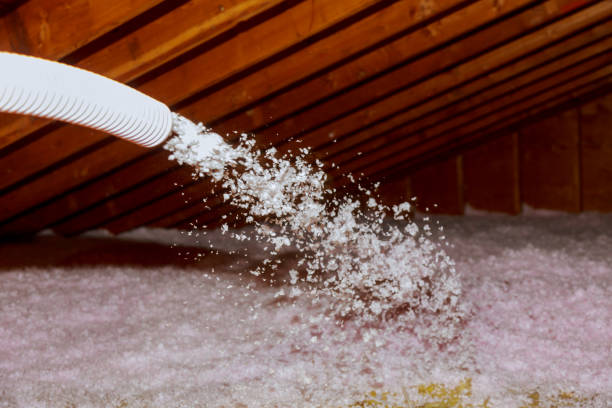 Best Local Insulation Services  in Groesbeck, TX