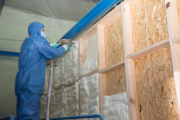 Best Insulation Replacement Services  in Groesbeck, TX